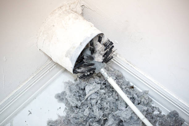 Best Local Air Duct Cleaning Services  in Queen City, TX